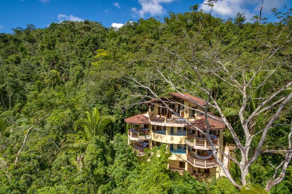 Sleeping Giant Rainforest Lodge Belmopán Exterior foto
